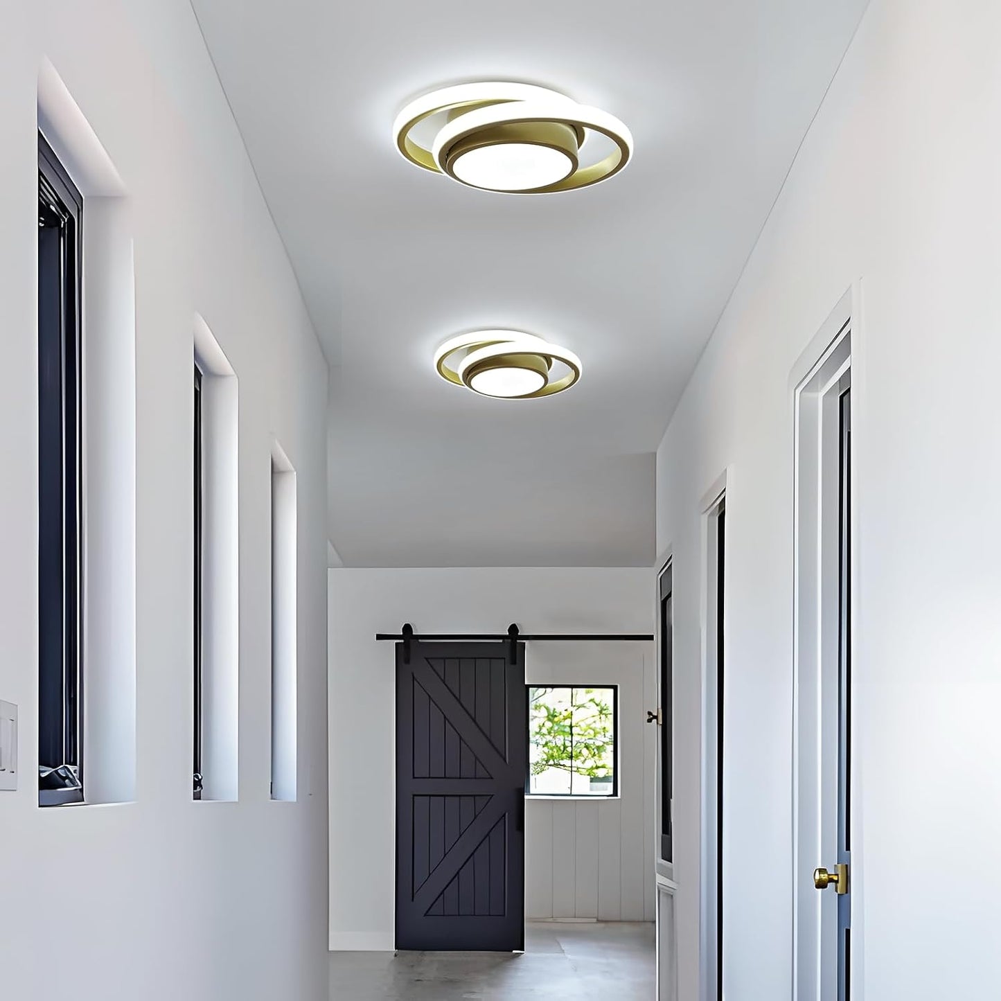 Modern LED Ceiling Light