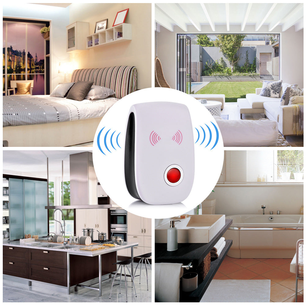 Pest control | Protects your home against pests