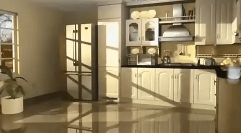 Pest control | Protects your home against pests