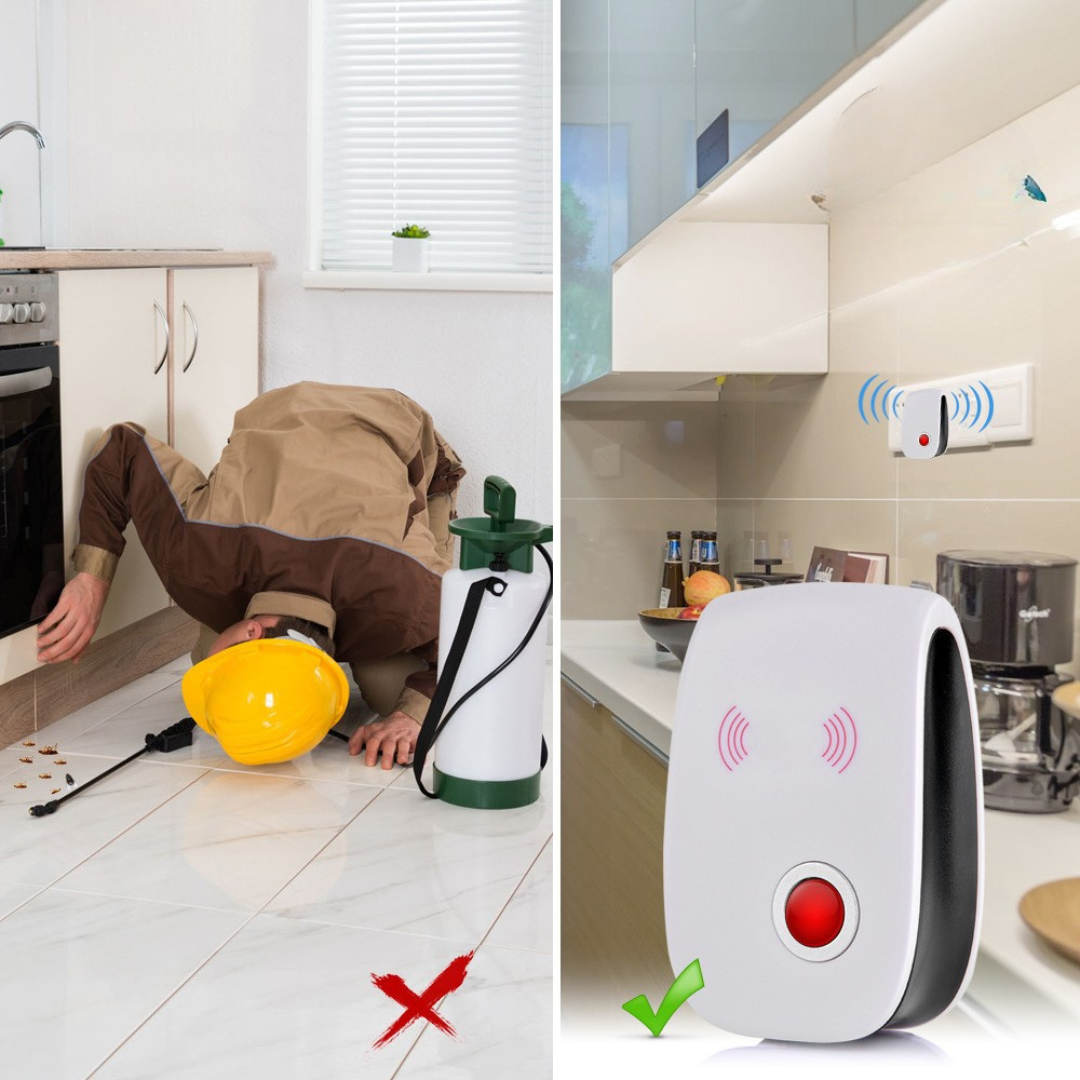 Pest control | Protects your home against pests