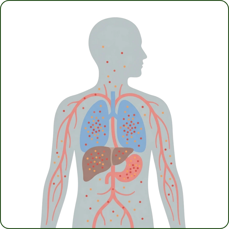 2. Those particles don't leave your body