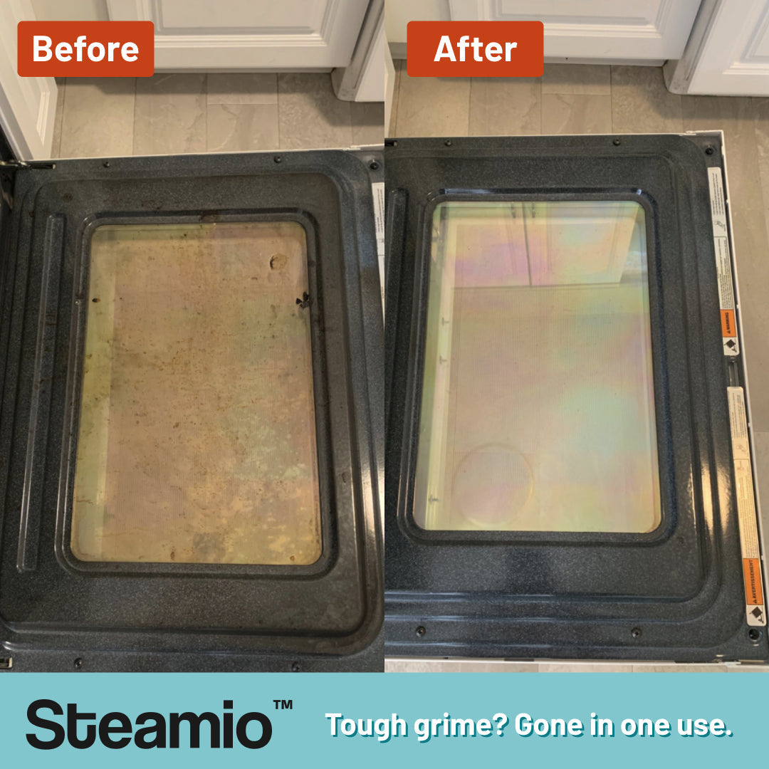 Steam Cleaner