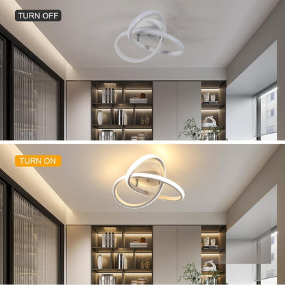 Modern LED Ceiling Light