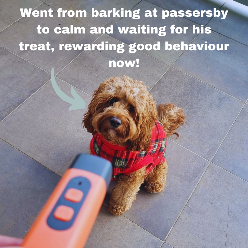 QuietPaws™ Gentle Bark Control
