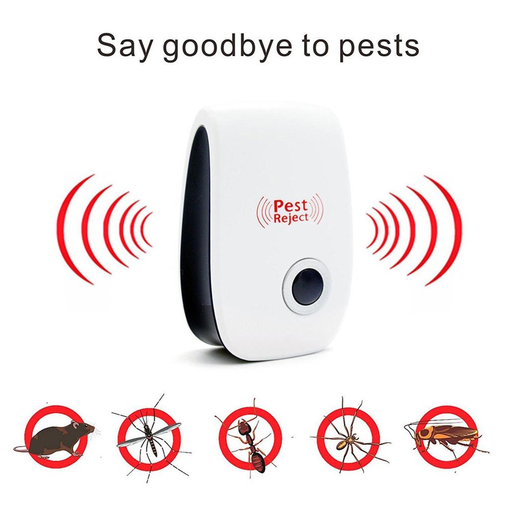 Pest control | Protects your home against pests