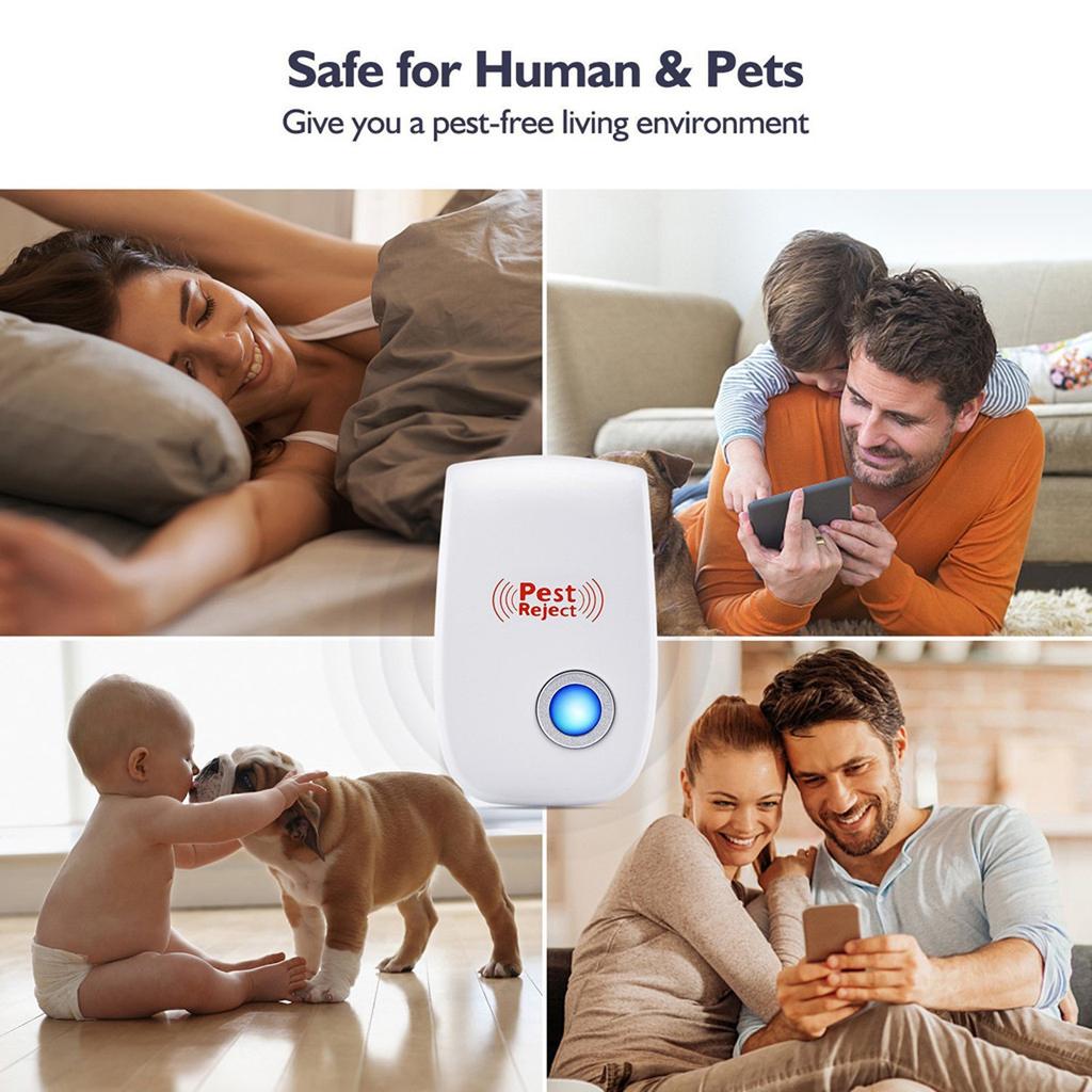 Pest control | Protects your home against pests